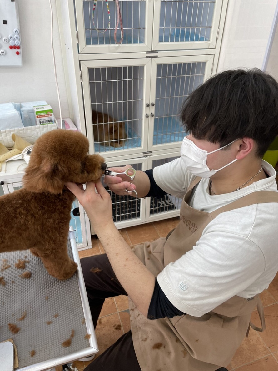 矢野 陽