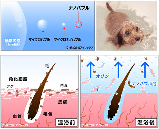 皮膚のお悩みに効果的！