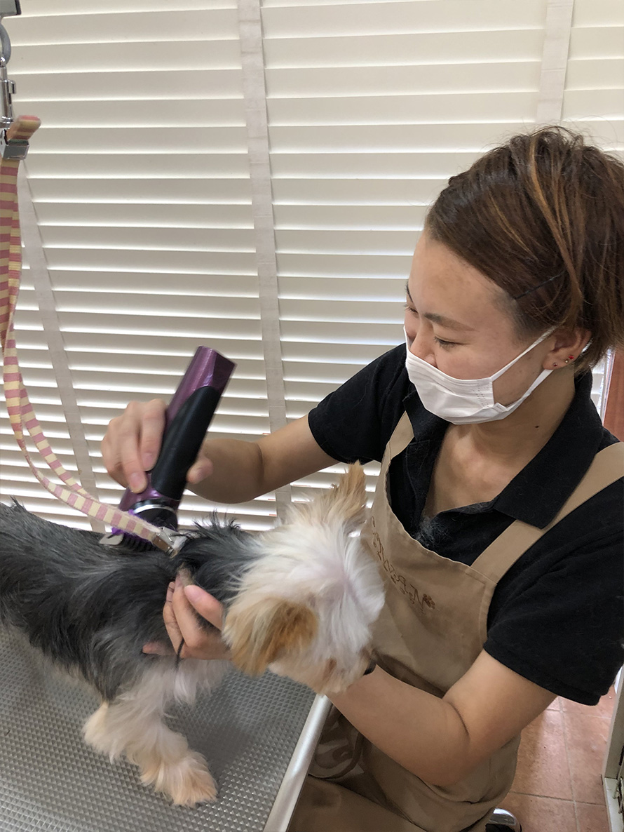 斎藤 明日香