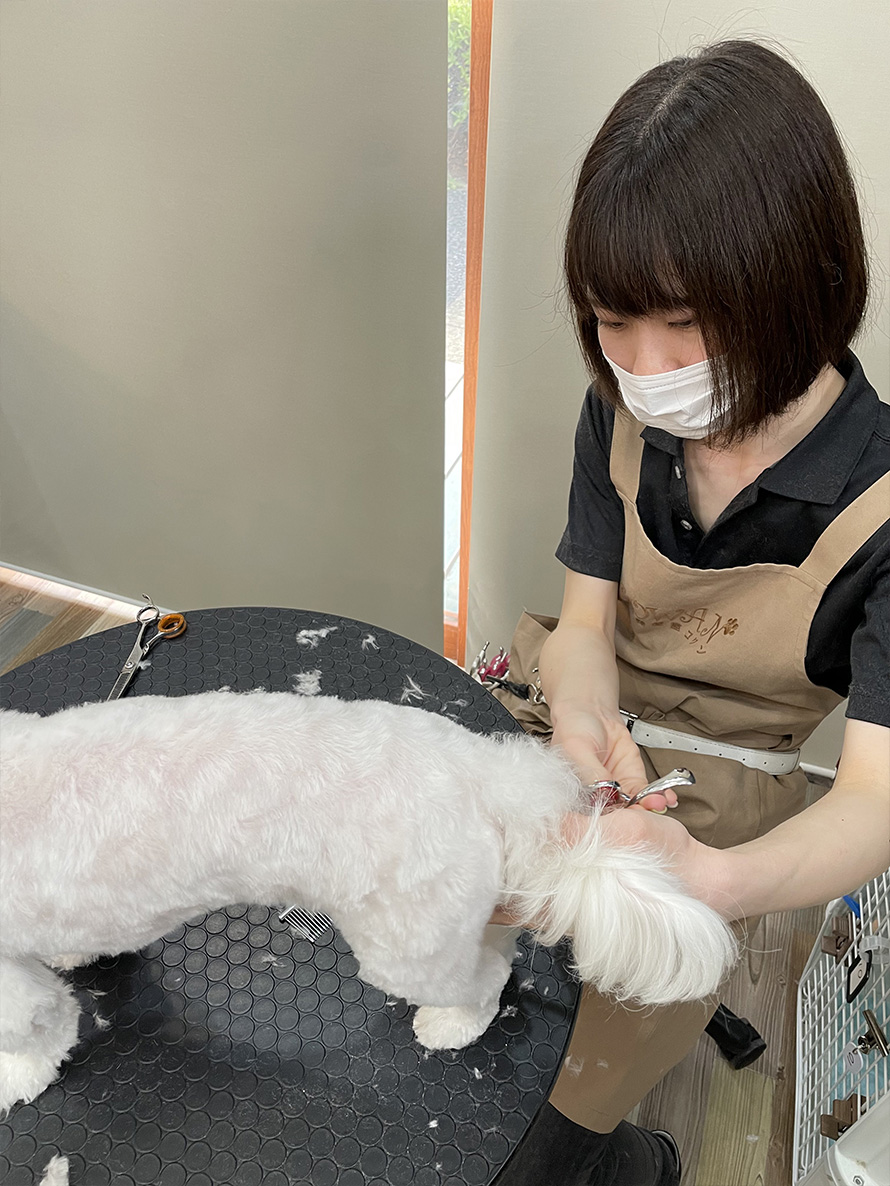 常住 朋美