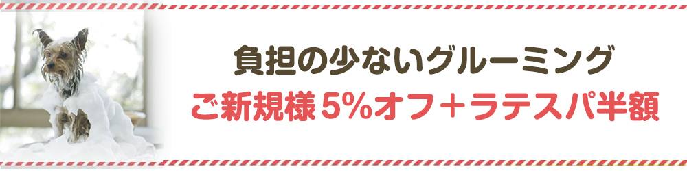 負担の少ないグルーミングご新規様 5%オフ＋ラテスパ半額
