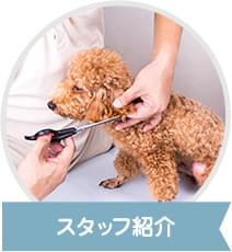 スタッフ紹介