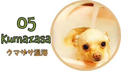 千葉県松戸市の犬の美容室cowan丁寧な施術 カットが可愛いトリミングサロン