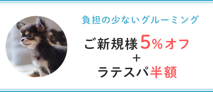 負担の少ないグルーミングご新規様5％オフ＋ラテスパ半額