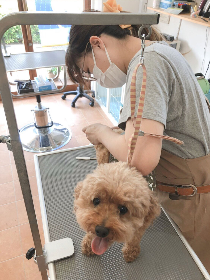 長島知子